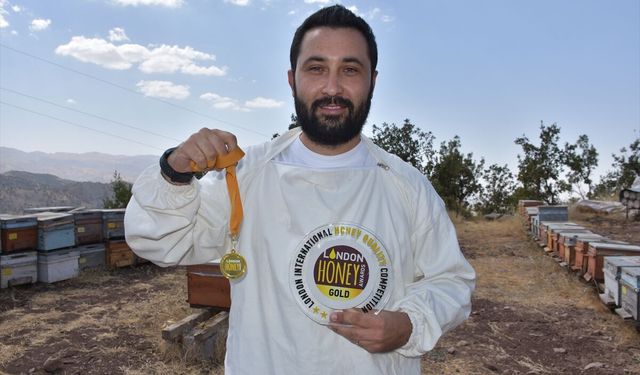 Şırnak balı Londra’dan altın madalyayla döndü