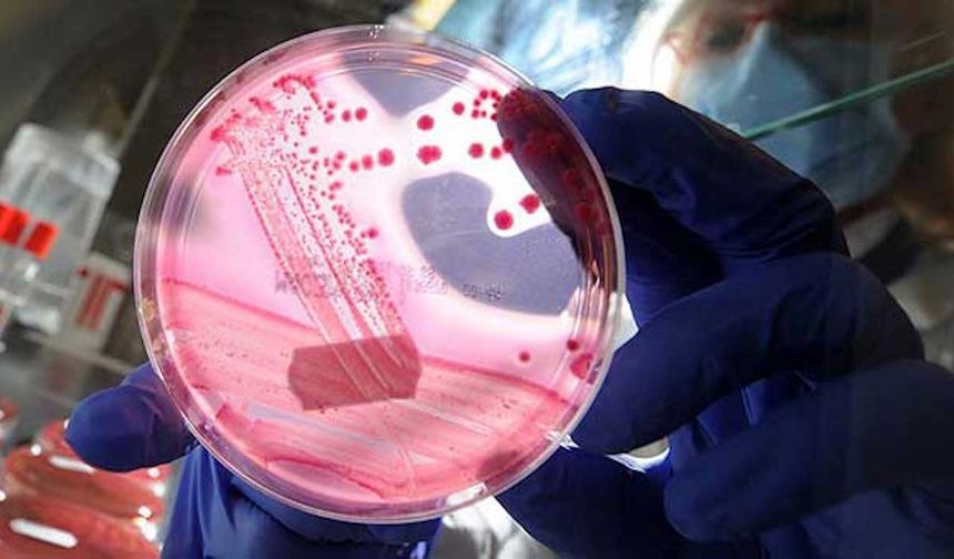 Mikropların var olduğuna inanmayan insanlar