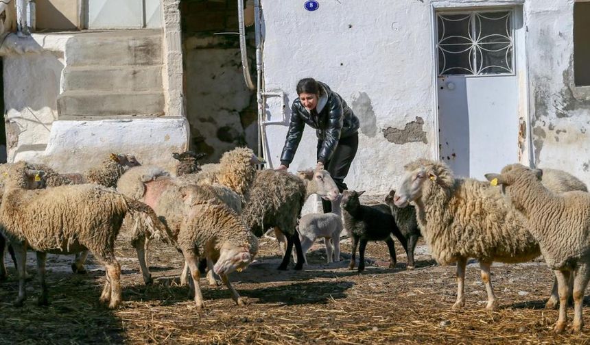 Hayat pahalılığı nedeniyle kentlerden köylerine dönenler anlatıyor