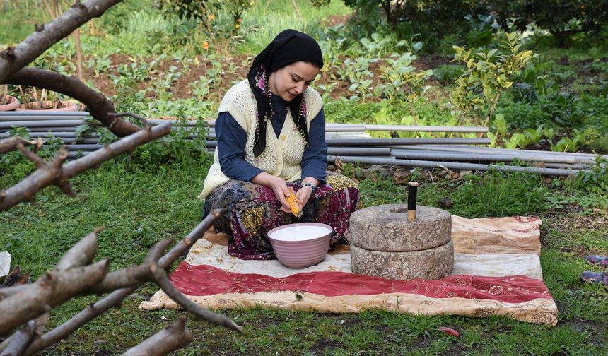 MEMLEKET SOFRASI - Karalahana çorbası