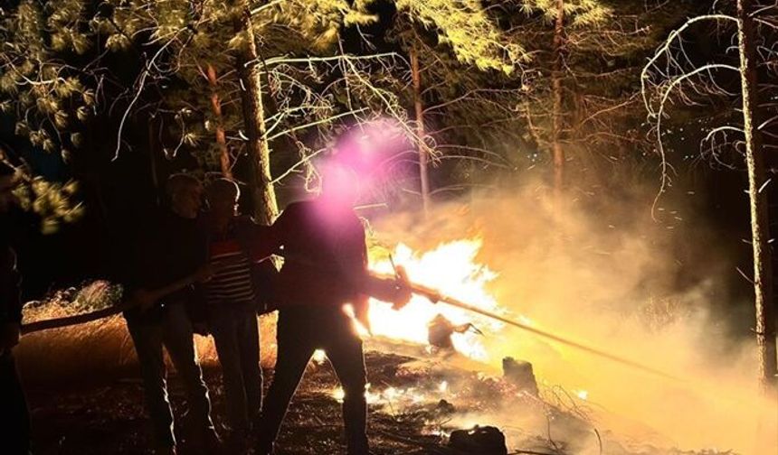 Hatay'da çıkan orman yangını kontrol altına alındı