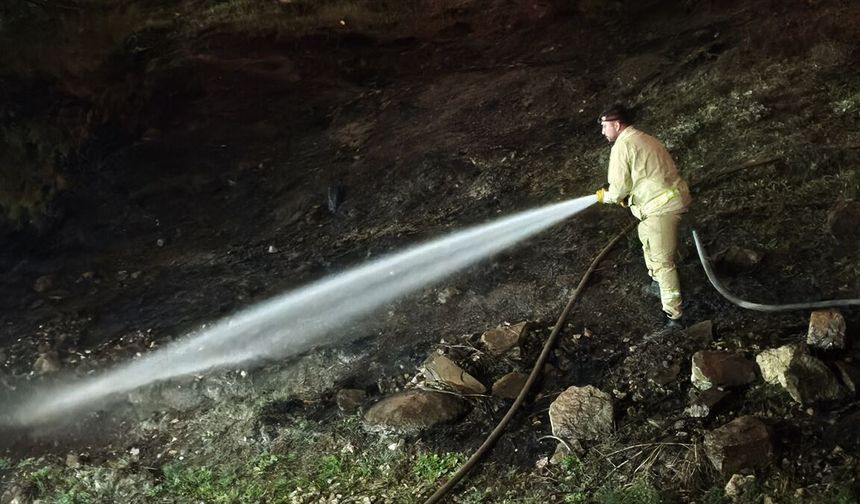 Karabük'te ormanda çıkan örtü yangınında 1 dekarlık alan zarar gördü