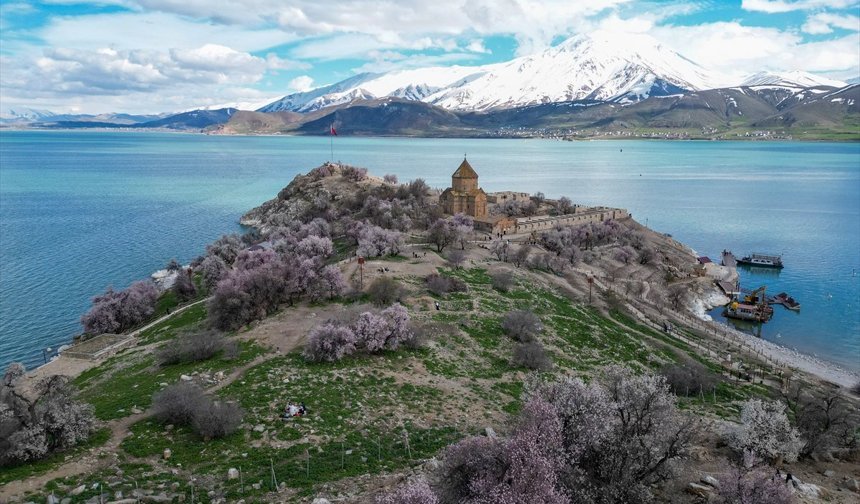 Akdamar Adası çiçek açan badem ağaçlarıyla renklendi