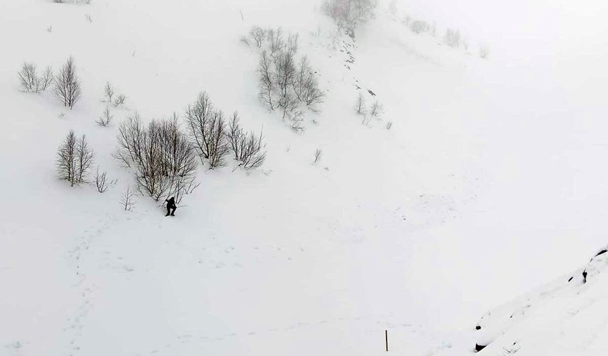 Artvin'de çığ bölgesinde gözlemsel etüt ve kar rasatı çalışması yapıldı