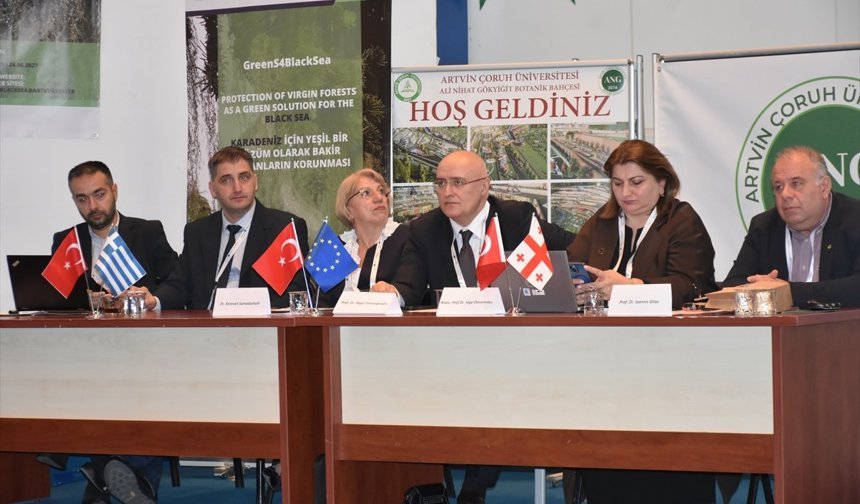 Karadeniz'in bakir ormanları uluslararası projeyle tespit edilecek