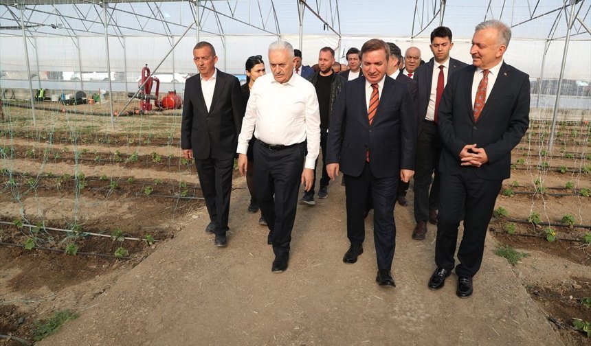 TDT Aksakallar Konseyi Başkanı Yıldırım, Erzincan'daki Toplu Sera Bölgesi'nde incelemelerde bulundu
