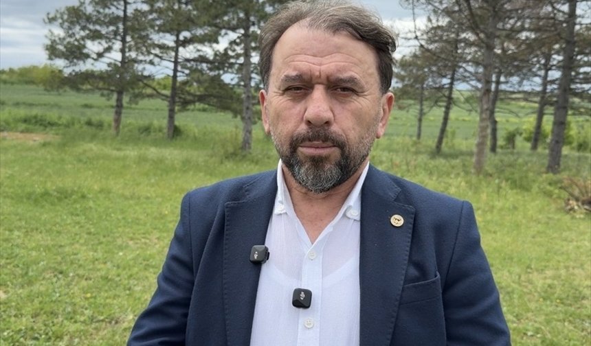 Yerli ayçiçeği tohumu pazar payını yüzde 15'e çıkardı