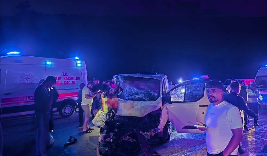 Bingöl'de ata çarpan panelvandaki 1 kişi öldü, 2 kişi yaralandı