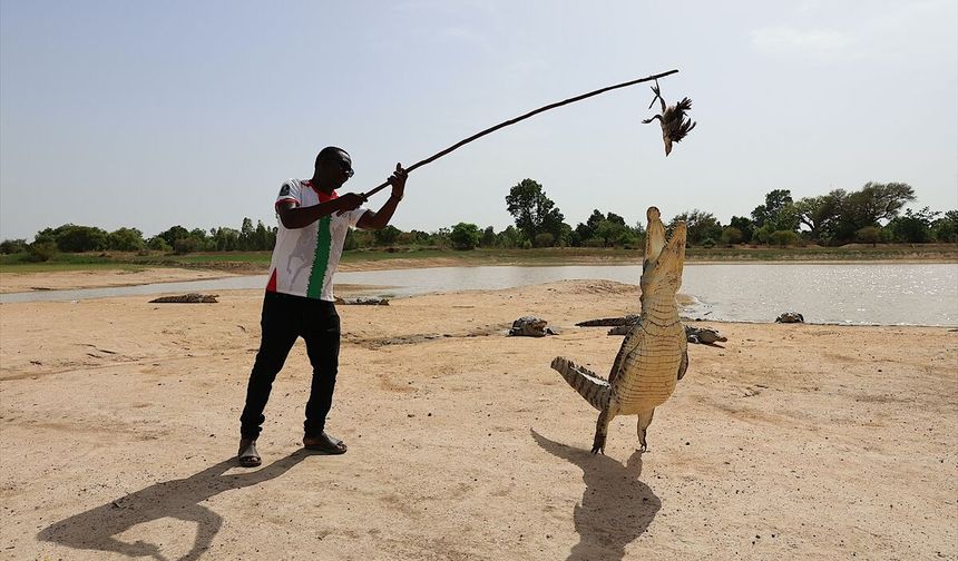 Burkina Faso'daki 'timsahlı köy' ziyaretçilerin ilgisini çekiyor
