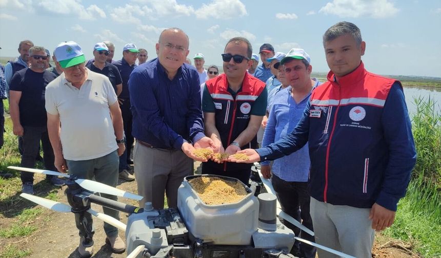 Edirne'de dronla 125 dekarlık arazide çeltik ekimi yapıldı