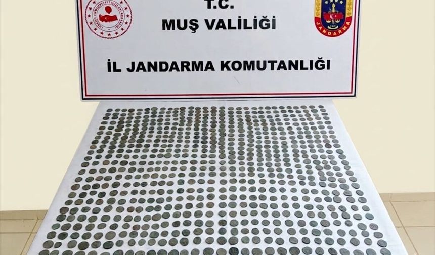 Muş'ta 749 sikke ele geçirildi