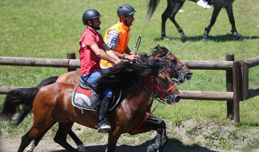 Ordu'da Geleneksel Rahvan At Yarışları düzenlendi