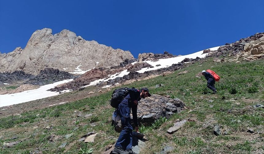 Hakkari'de haber alınamayan dağcı için arama çalışması başlatıldı