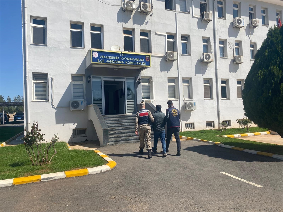 Şanlıurfa'da "kasten adam öldürme" suçundan aranan 5 zanlı yakalandı