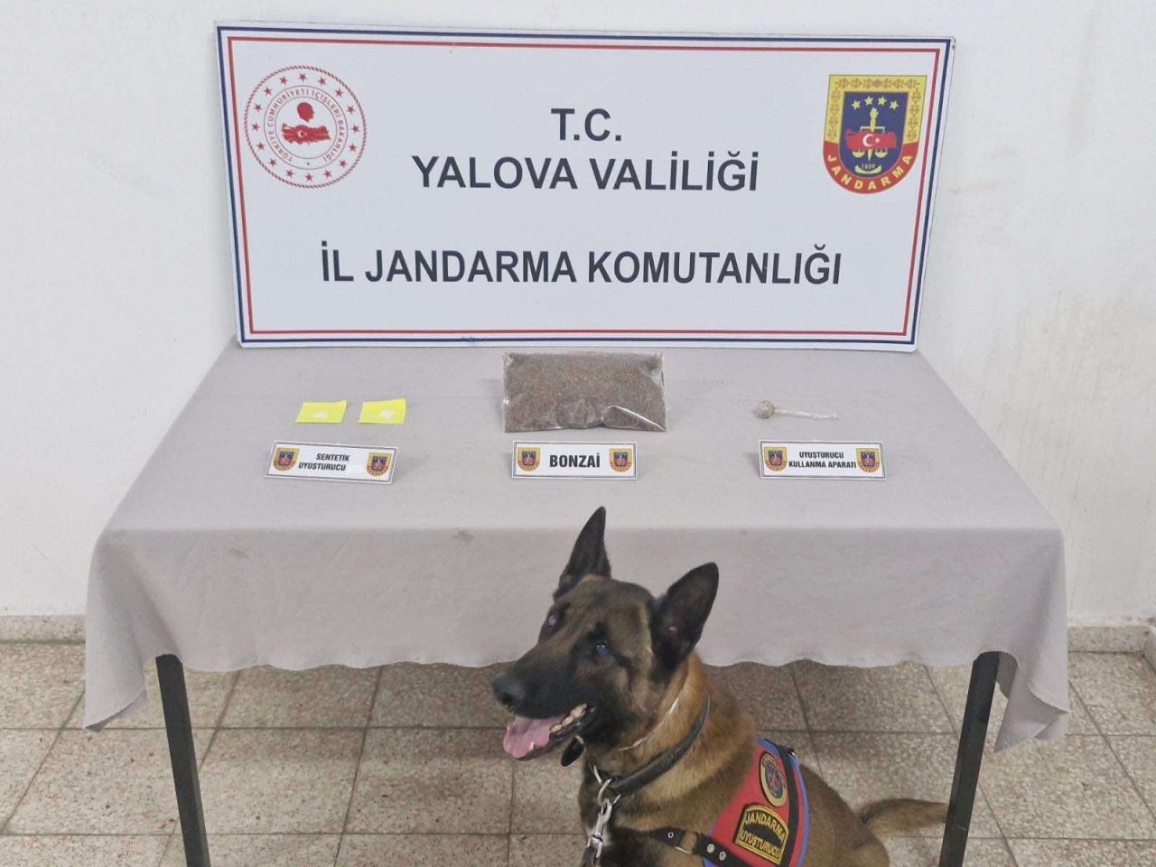 Yalova'da uyuşturucu operasyonunda yakalanan zanlı tutuklandı