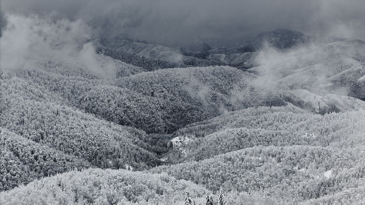 Sakarya Çam Dağı'nda oluşan kış manzaraları havadan görüntülendi