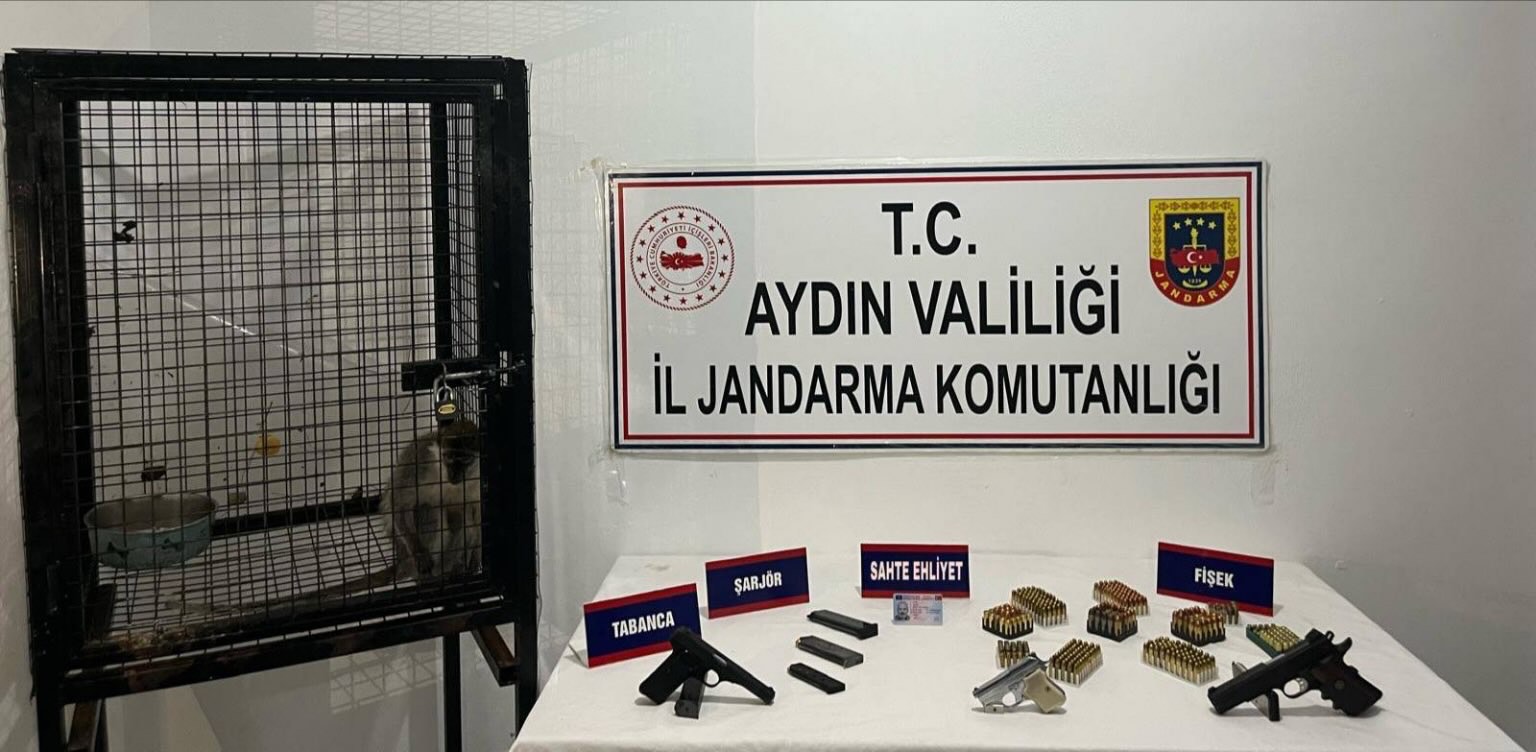 Aydın'da silah kaçakçılığı operasyonunda gözaltına alınan şüpheli tutuklandı