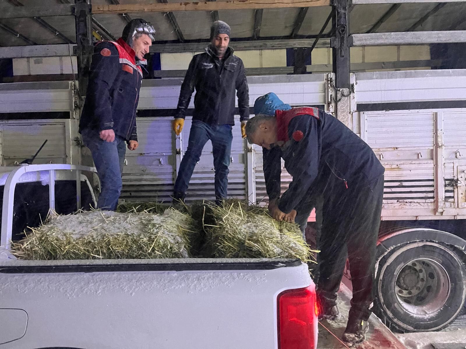 Erzurum'da yolda kalan tırlardaki hayvanlar beslendi