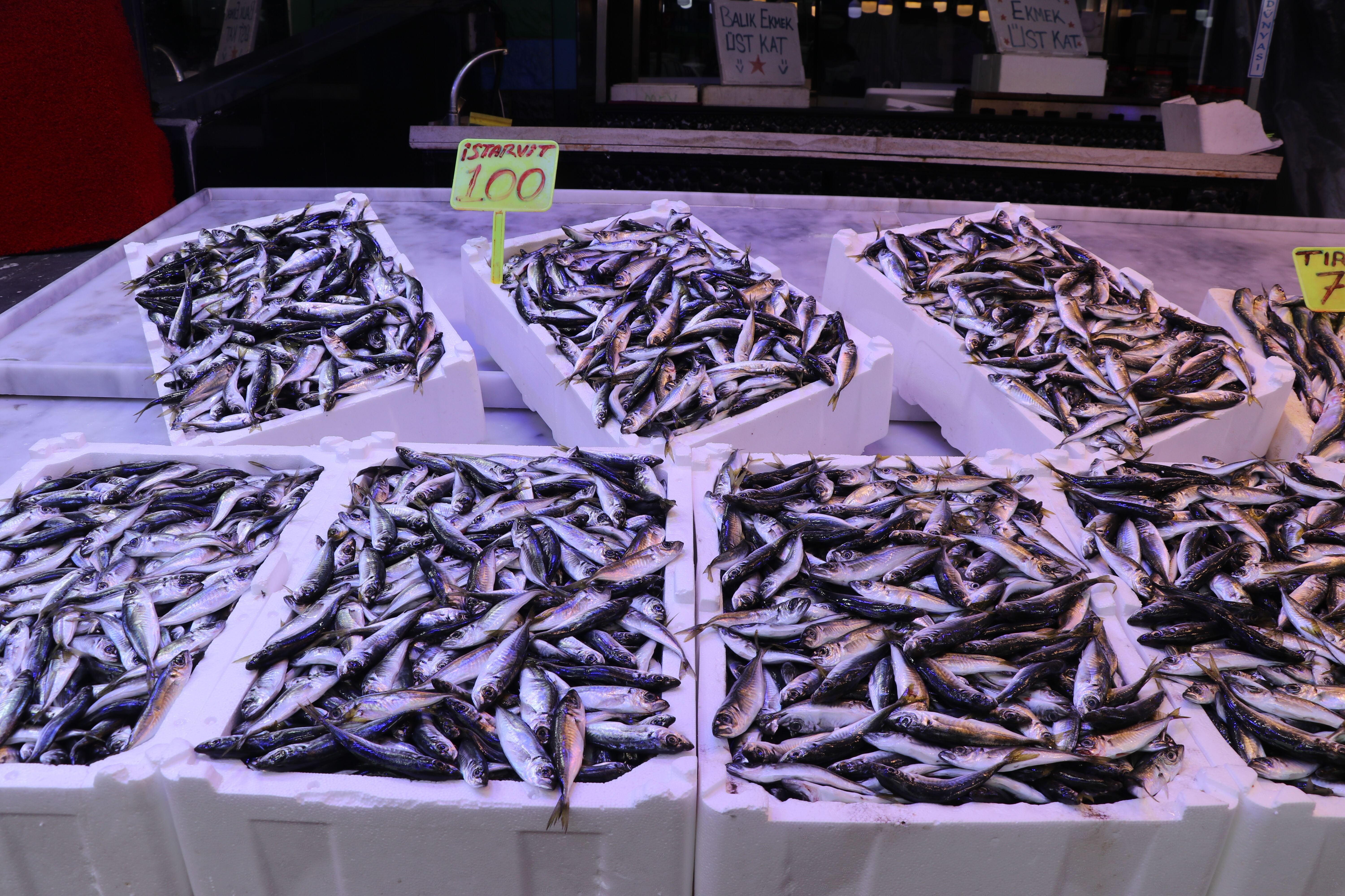 Rize'de istavritin kilogramı 100 liradan satışa sunuldu