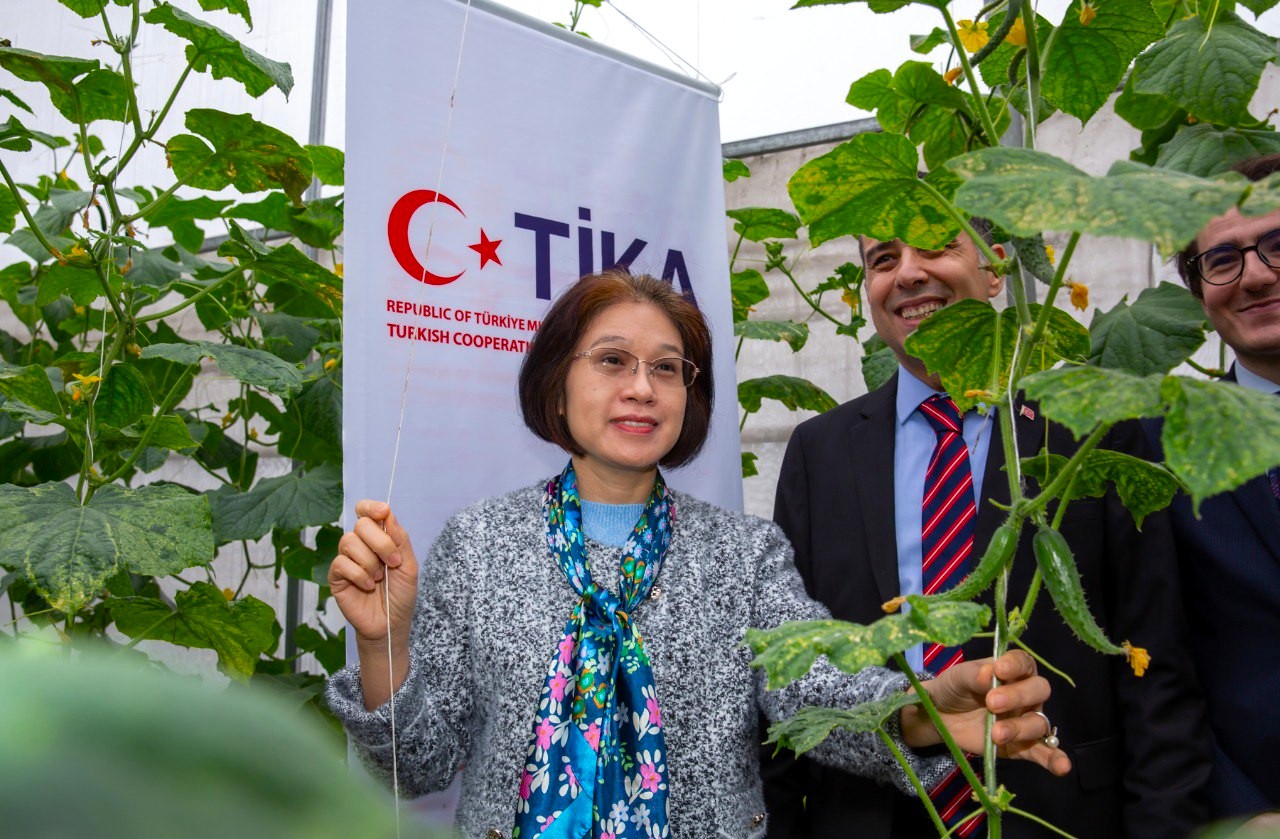 TİKA'dan Vietnam'da tayfundan etkilenen çiftçilere sera desteği