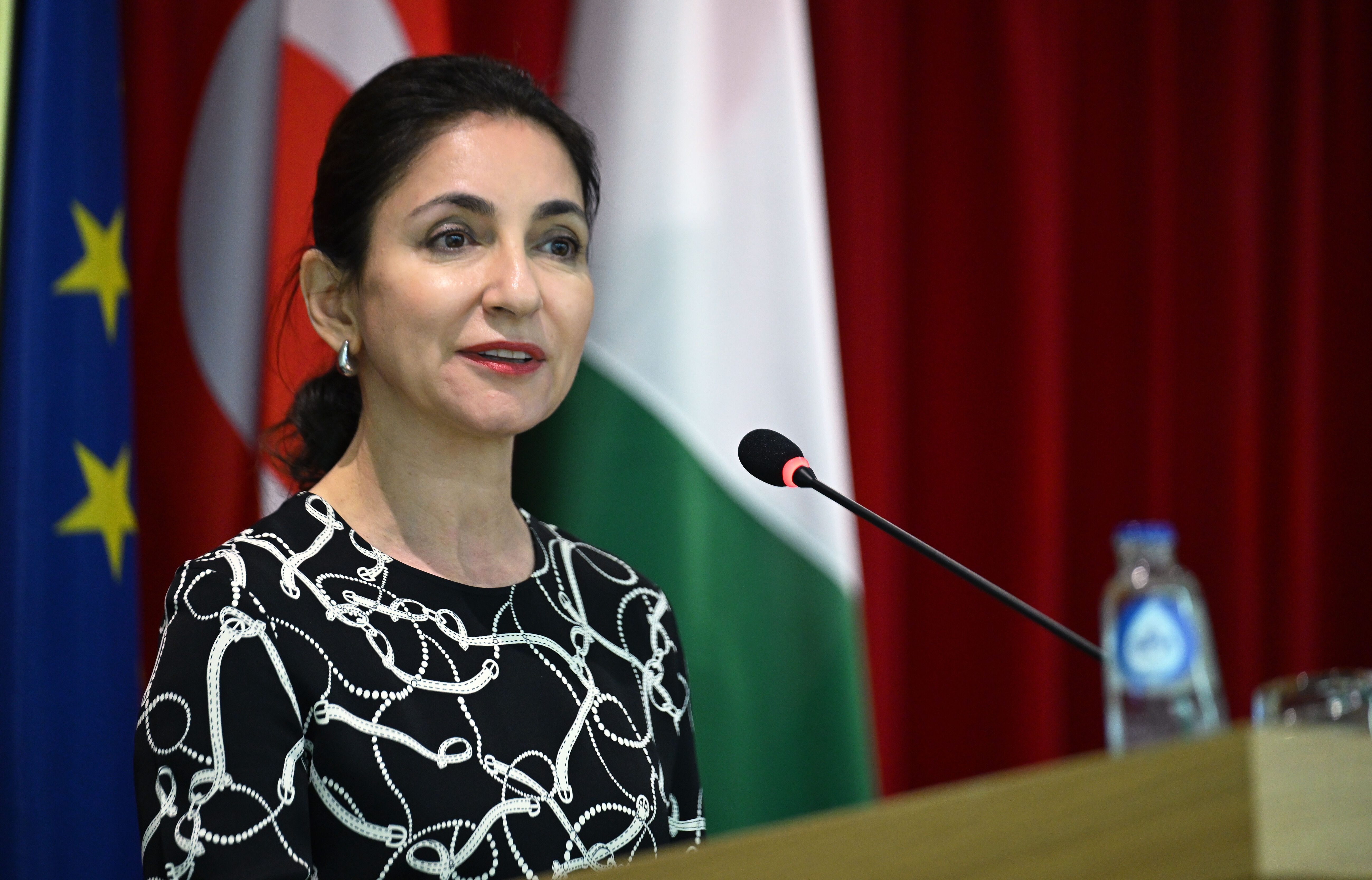 Türkiye, Avrupa rekabet stratejisinin parçası olarak görülmeli