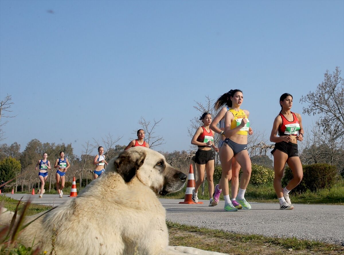 Balkan Yürüyüş Şampiyonası, İzmir'de gerçekleştirildi