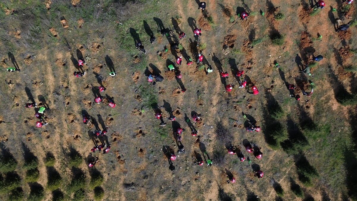 Bilecik'te Kızılay gönüllüleri fidanları toprakla buluşturdu