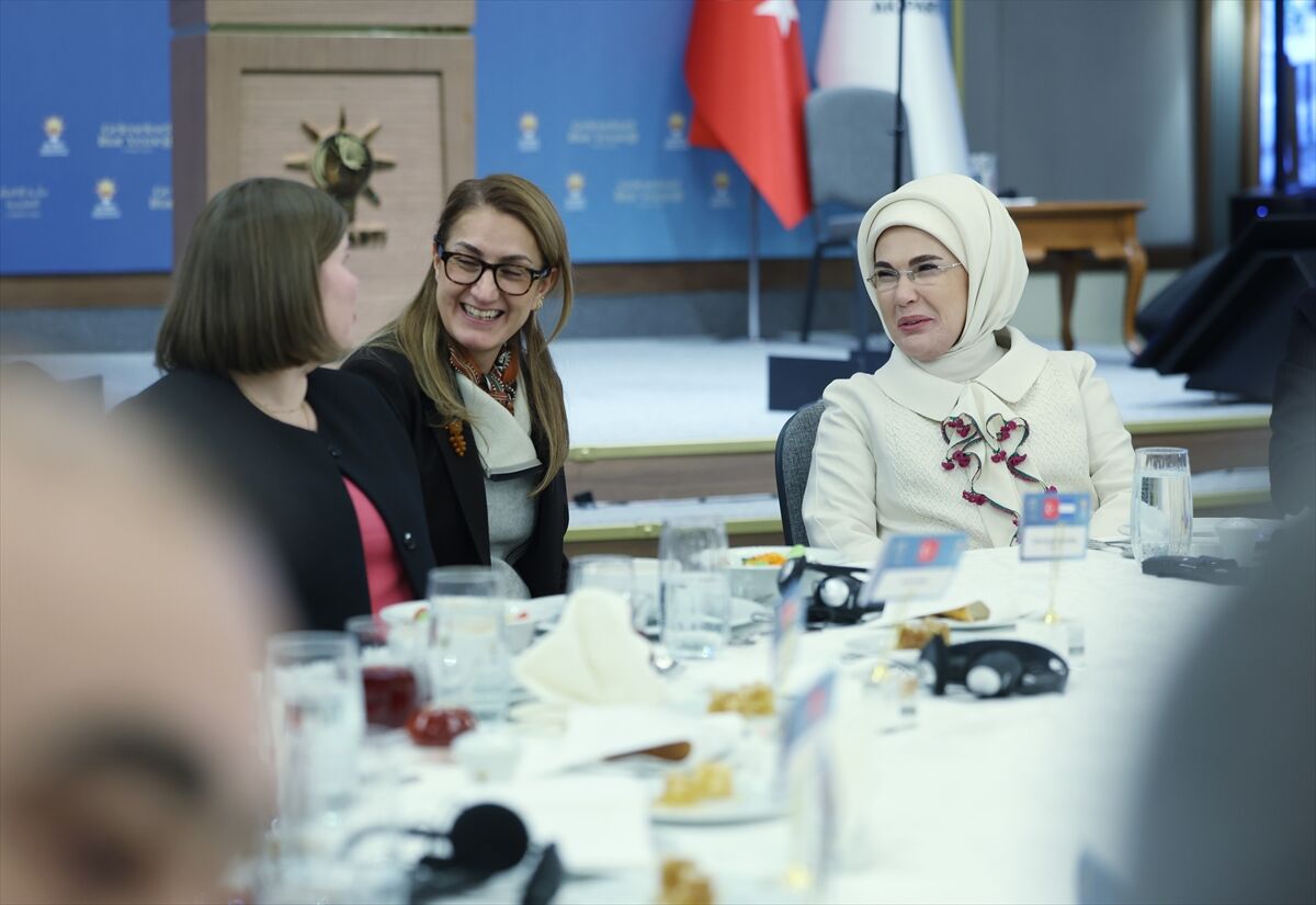 Cumhurbaşkanı Erdoğan, 17. Geleneksel Büyükelçiler İftar Programı'nda konuştu: (2)