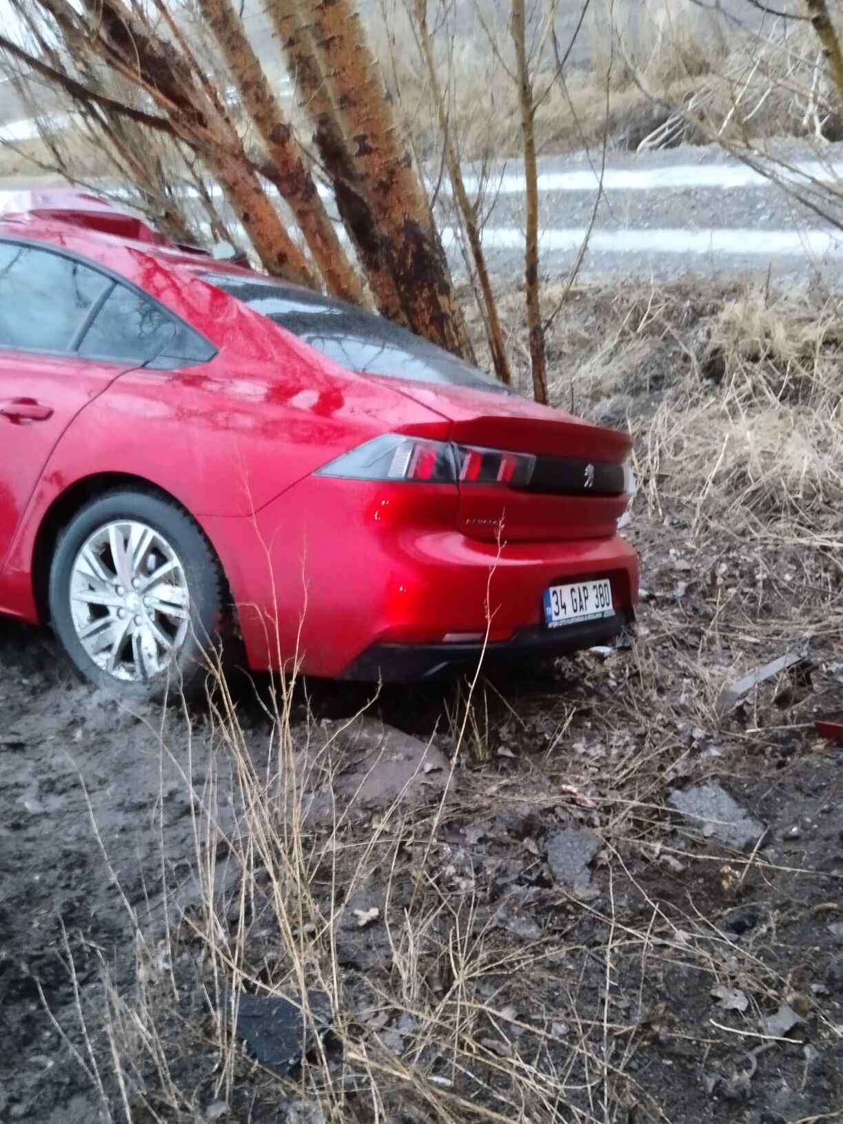 Erzurum'da ağaca çarpan otomobildeki 2 kişi öldü