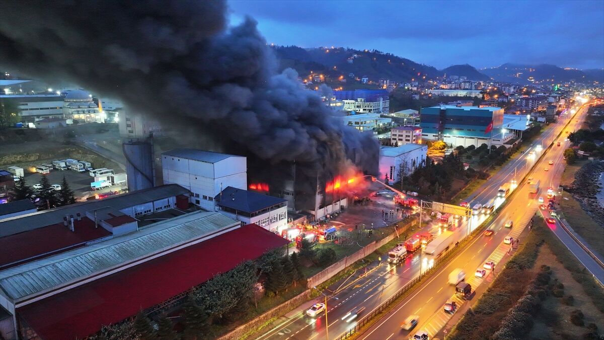 GÜNCELLEME - Trabzon'da fındık fabrikasının deposunda çıkan yangına müdahale ediliyor