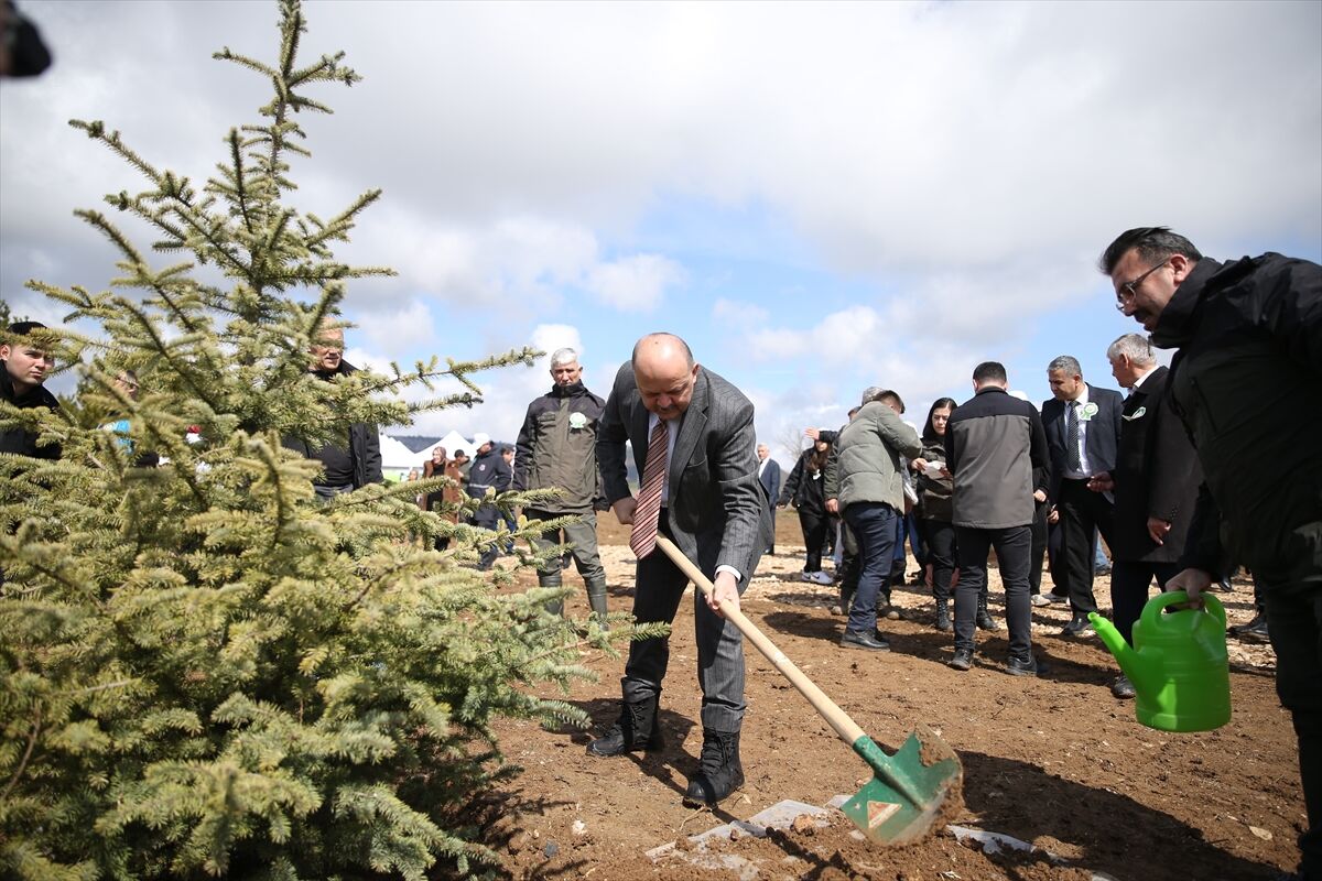 Kastamonu'da 'Türkiye'nin gücü orman' programında 1340 fidan dikildi