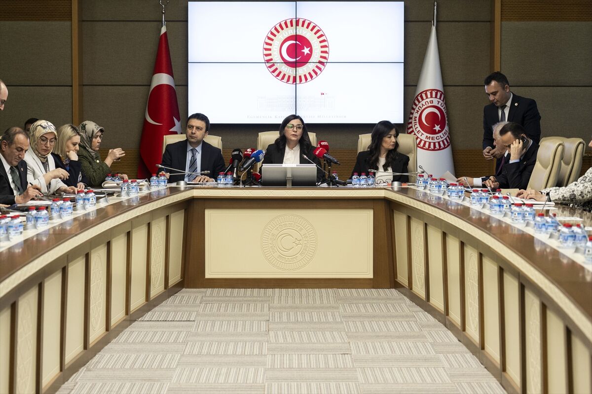 TBMM Suça Sürüklenen Çocuklara İlişkin Araştırma Komisyonu, mağdur aileleri dinledi