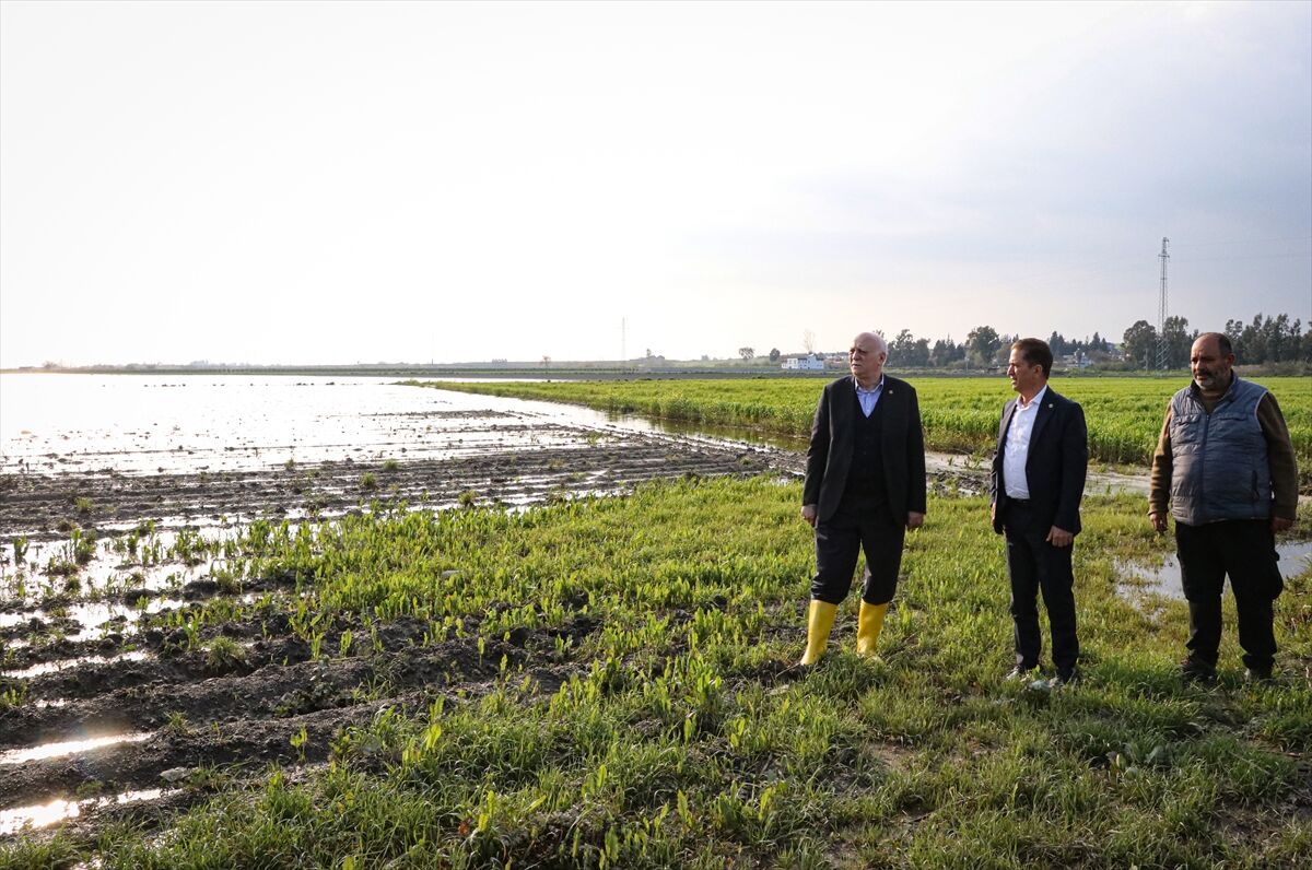 TZOB Genel Başkanı Bayraktar, Adana'da sağanaktan etkilenen bölgelerde incelemelerde bulundu