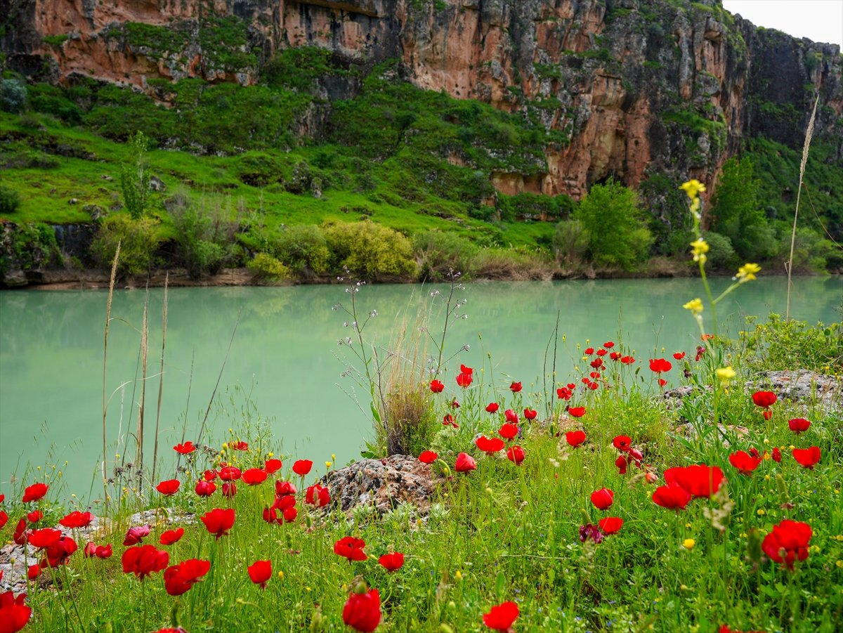 Kızılin Kanyonu baharın renklerine büründü