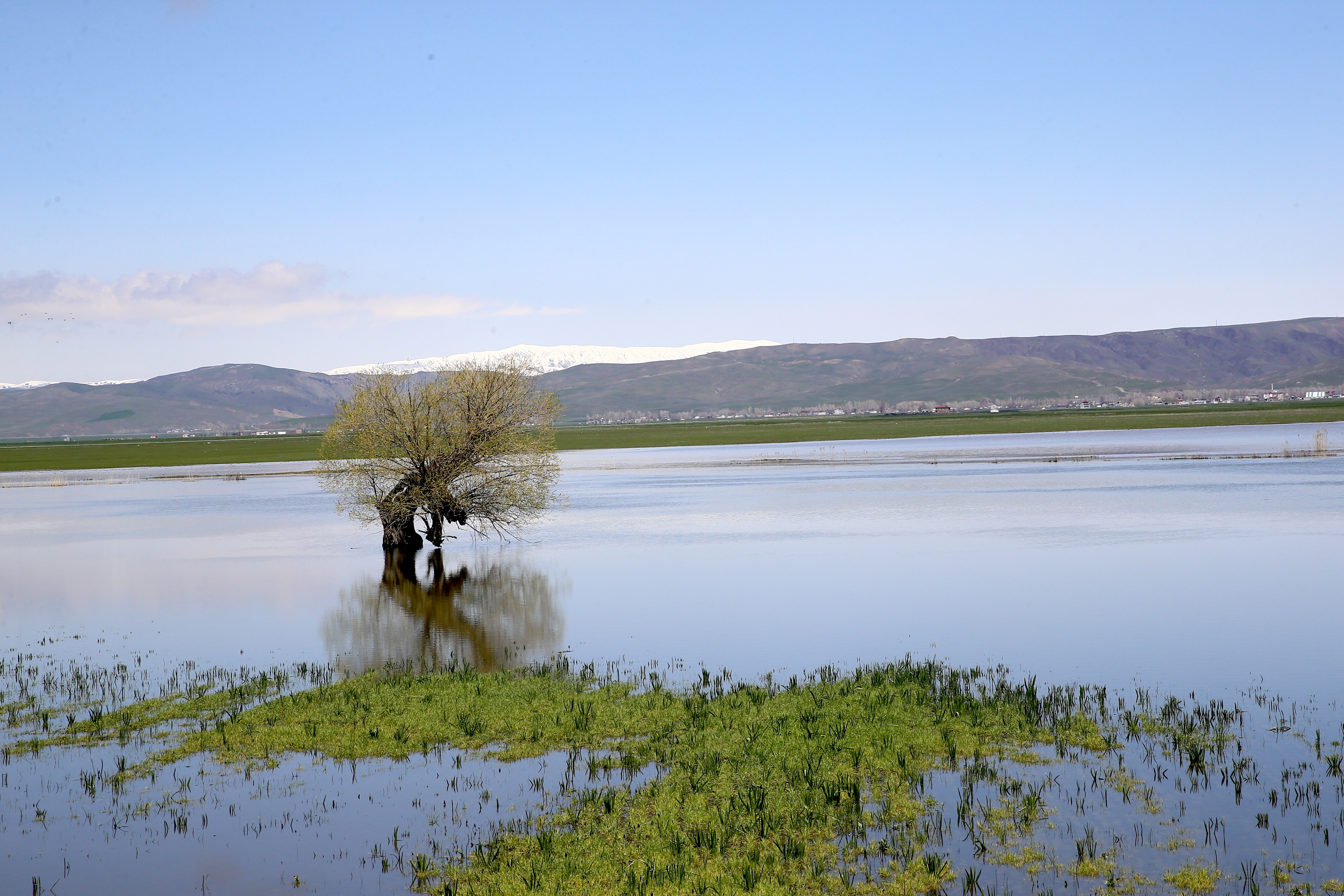 Muş'ta yağışlar geçen yıla göre yüzde 200 arttı