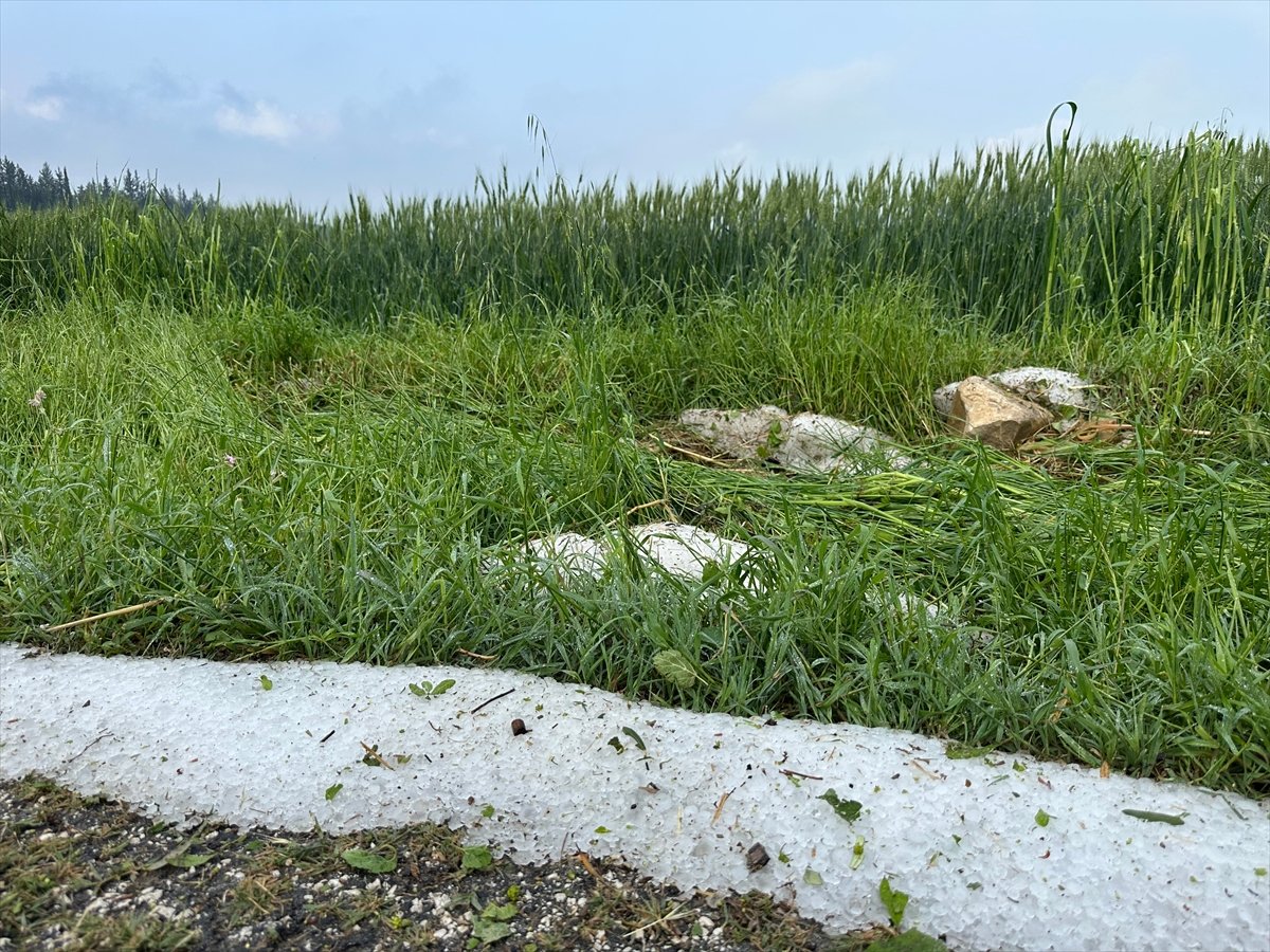 Osmaniye'de dolu ekili tarım alanlarına zarar verdi