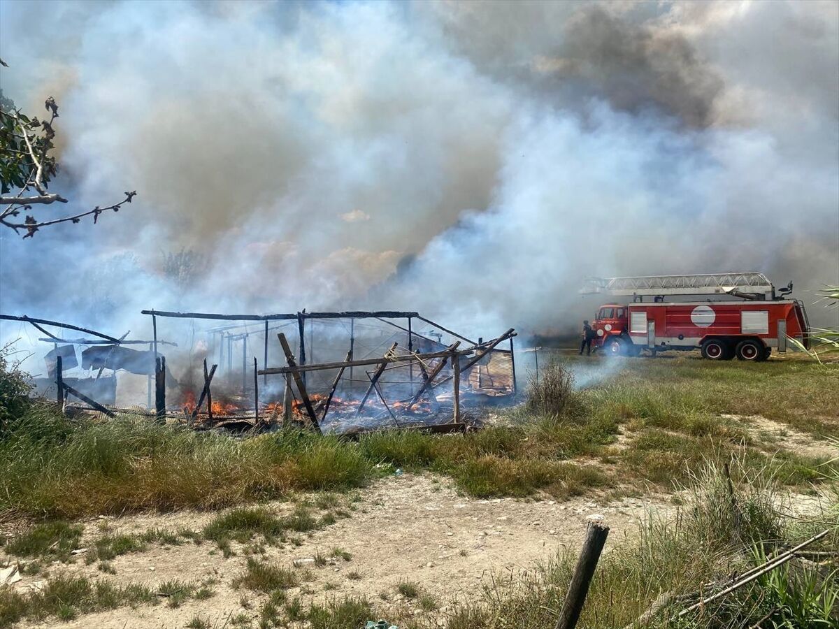 Antalya'da çıkan yangında baraka ve ağıl kullanılamaz hale geldi