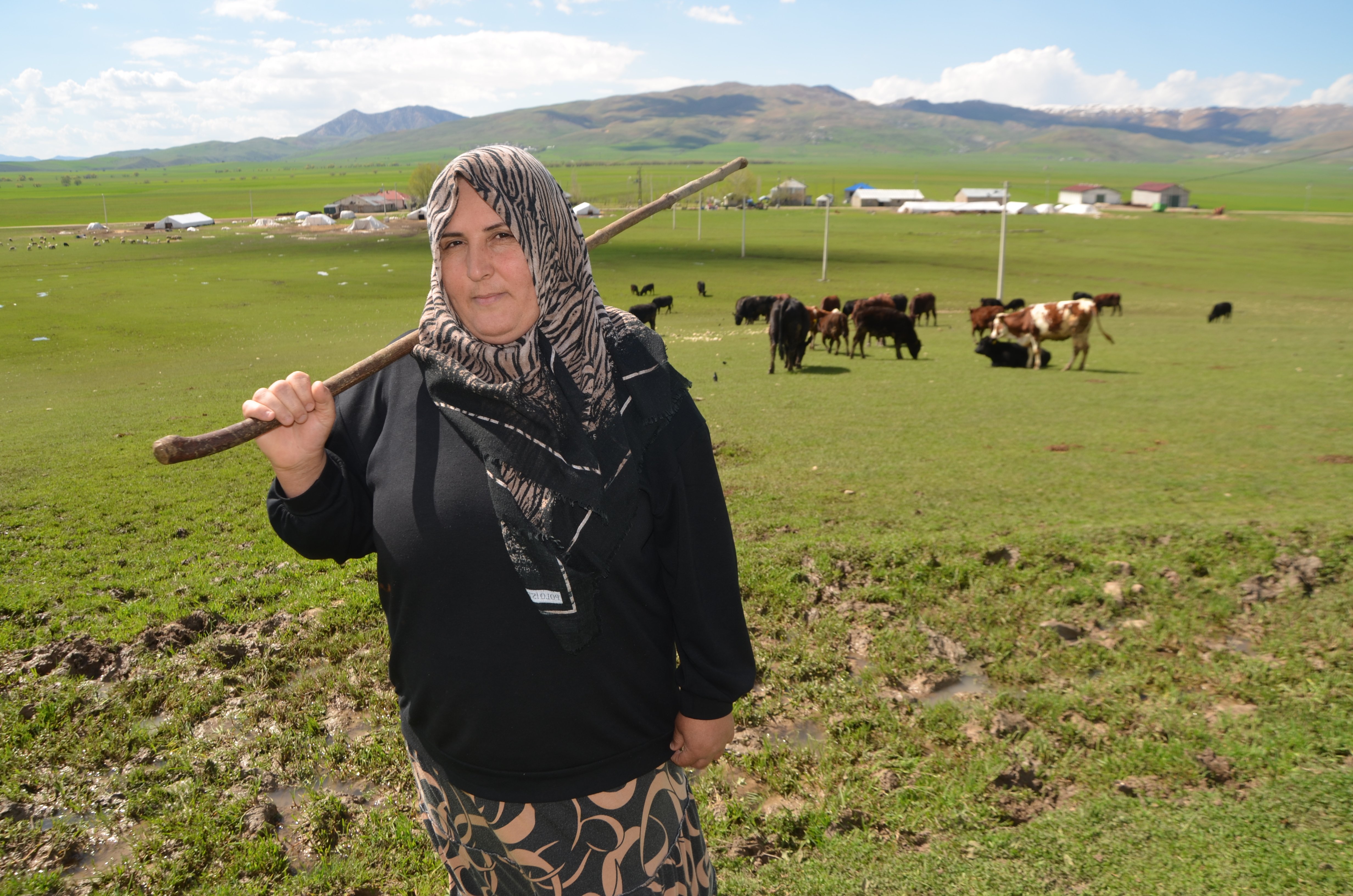 Devlet desteğiyle besiciliğe başlayan Muşlu kadın, hayvan sayısını artırmak istiyor