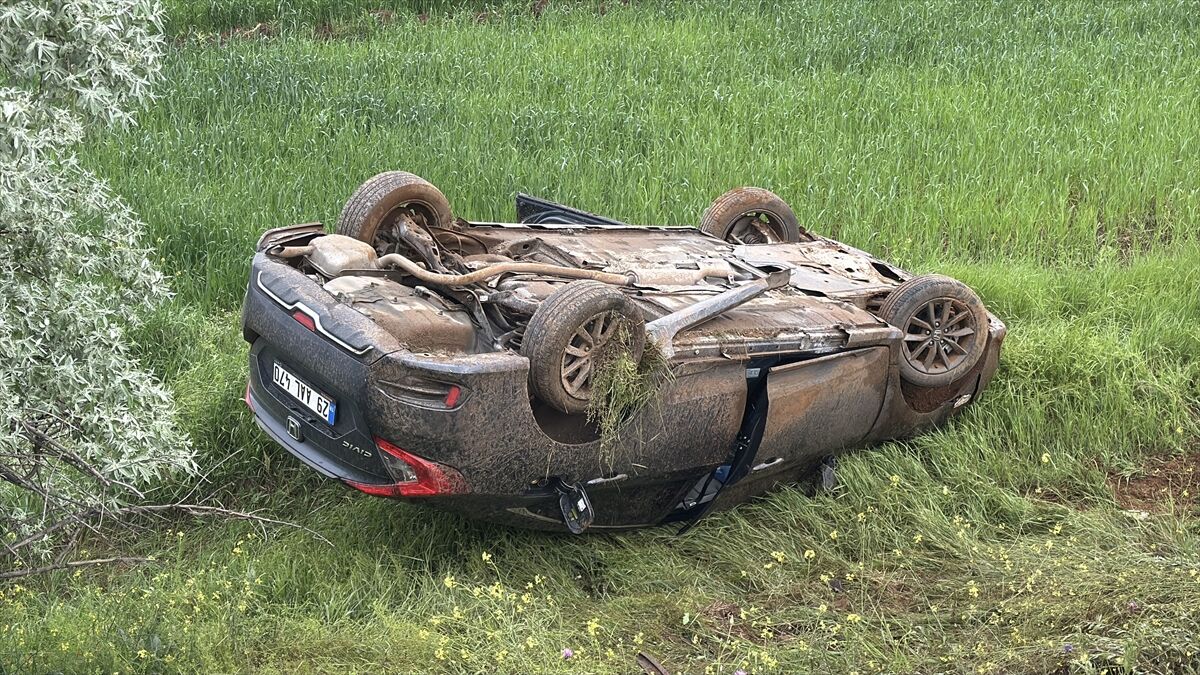 Erzincan'da şarampole devrilen otomobildeki 4 kişi yaralandı