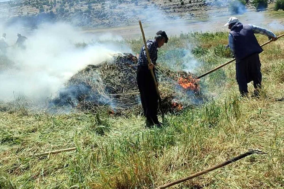 Gaziantep'te coğrafi işaretli 'firik' üretimi başladı