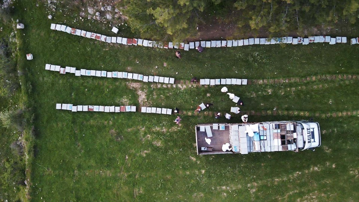 Gezginci arıcıların yayla yolculuğu başladı