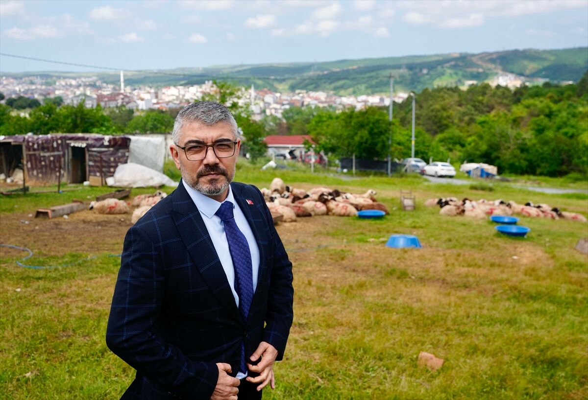 İstanbul'da gaziler ve şehit ailelerine yönelik kurban bağışı programı