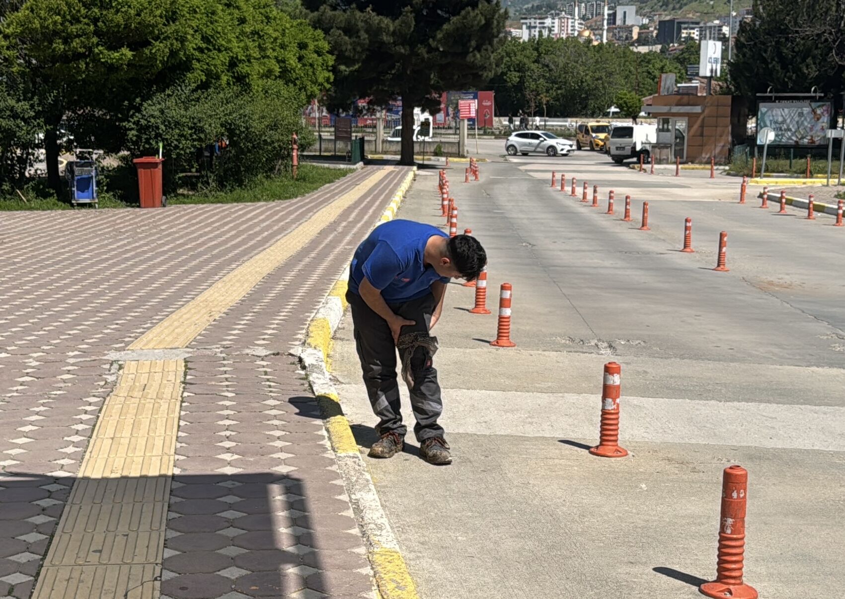 Tokat, Sinop, Amasya ve Kastamonu'da 'acemi kasaplar' hastanelik oldu
