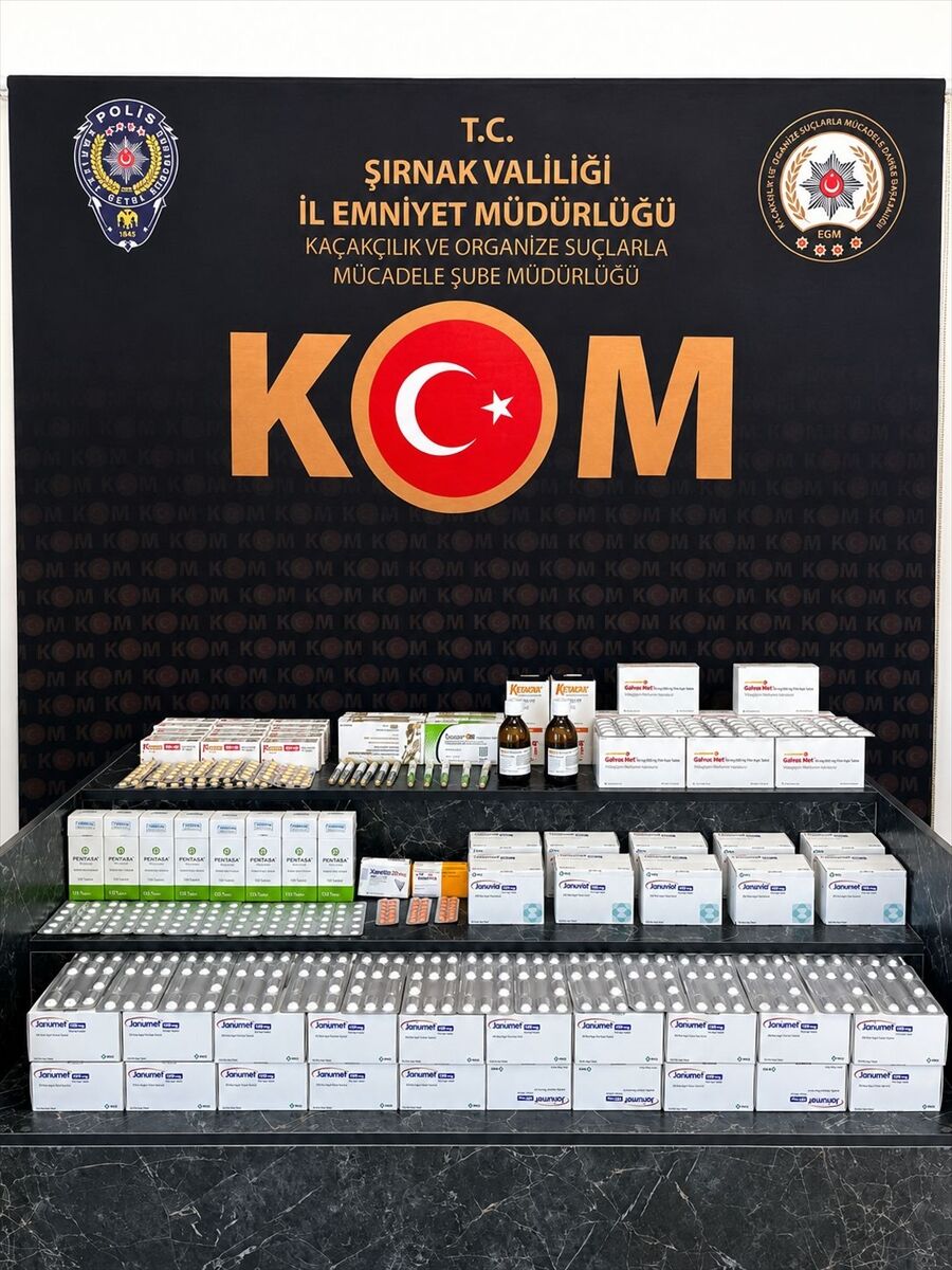 Şırnak'ta kaçak ilaç operasyonunda 2 şüpheli yakalandı