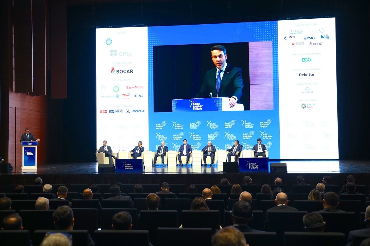 Türkiye, yenilenebilir enerjideki deneyimini paylaşmaya hazır