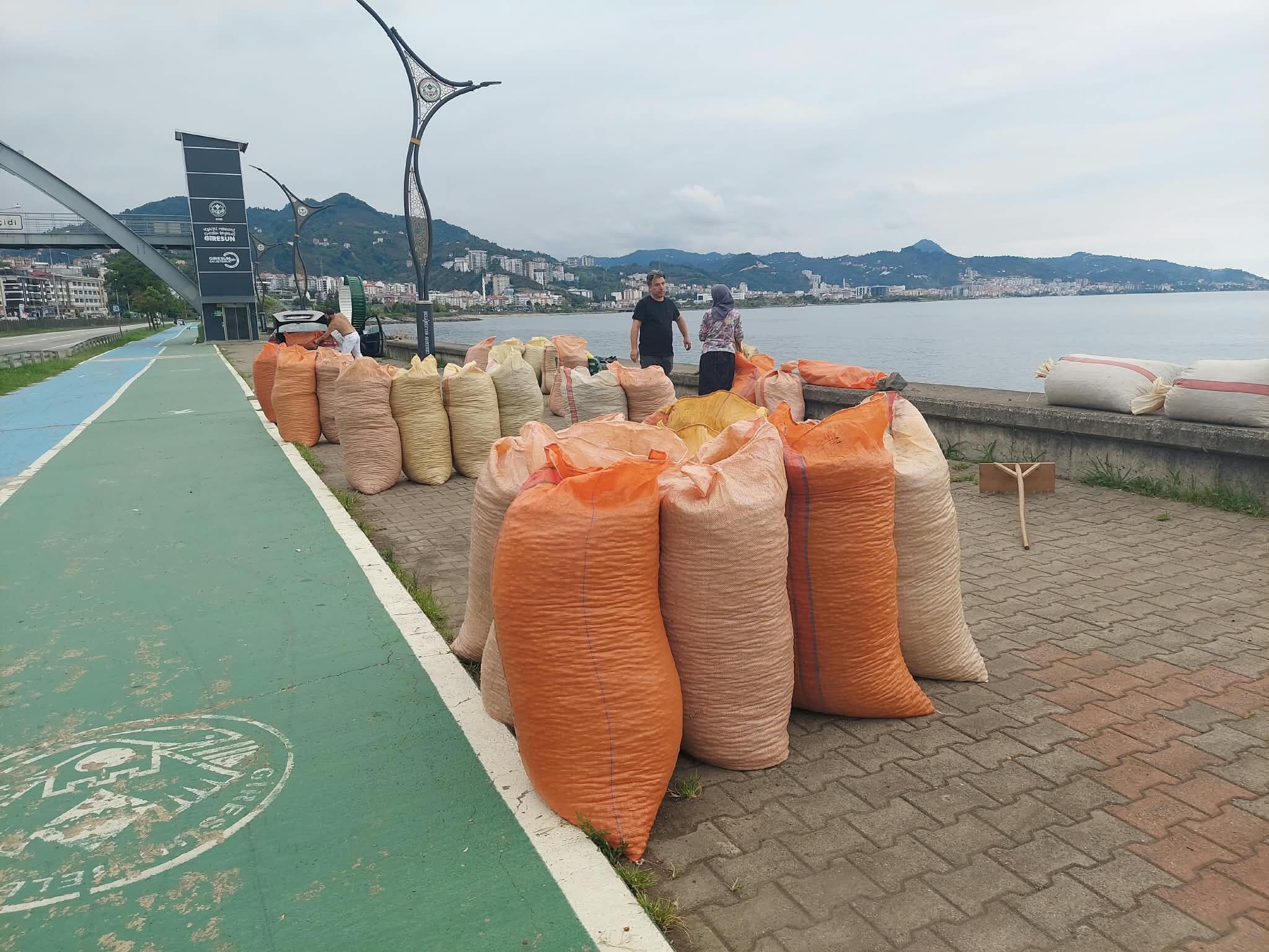 Giresun sahilinde fındık çuvalları, her yıl fındık sezonunda karşılaşılan manzaralardan birini oluşturuyor.