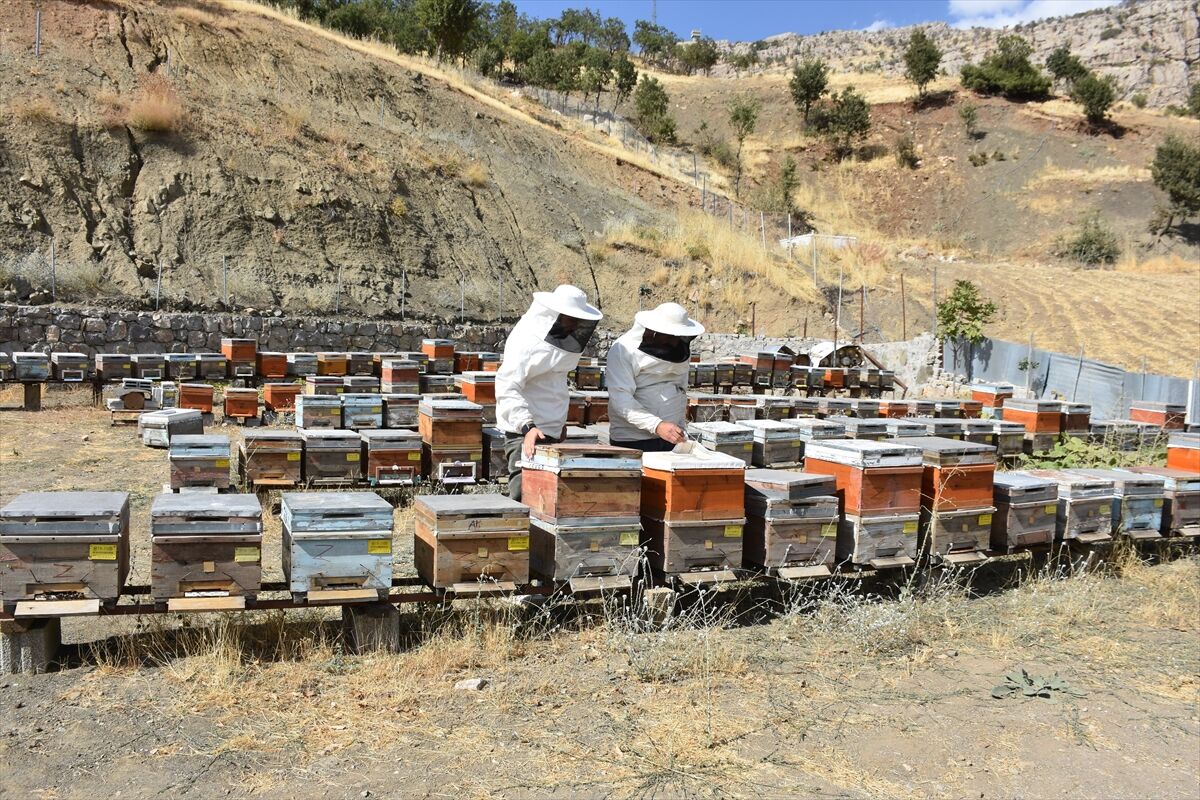 Göktepe, Şırnak’ın Balveren beldesinde, Namazdağı eteklerinde ve 1640 metre rakımda bal üretimini sürdürüyor