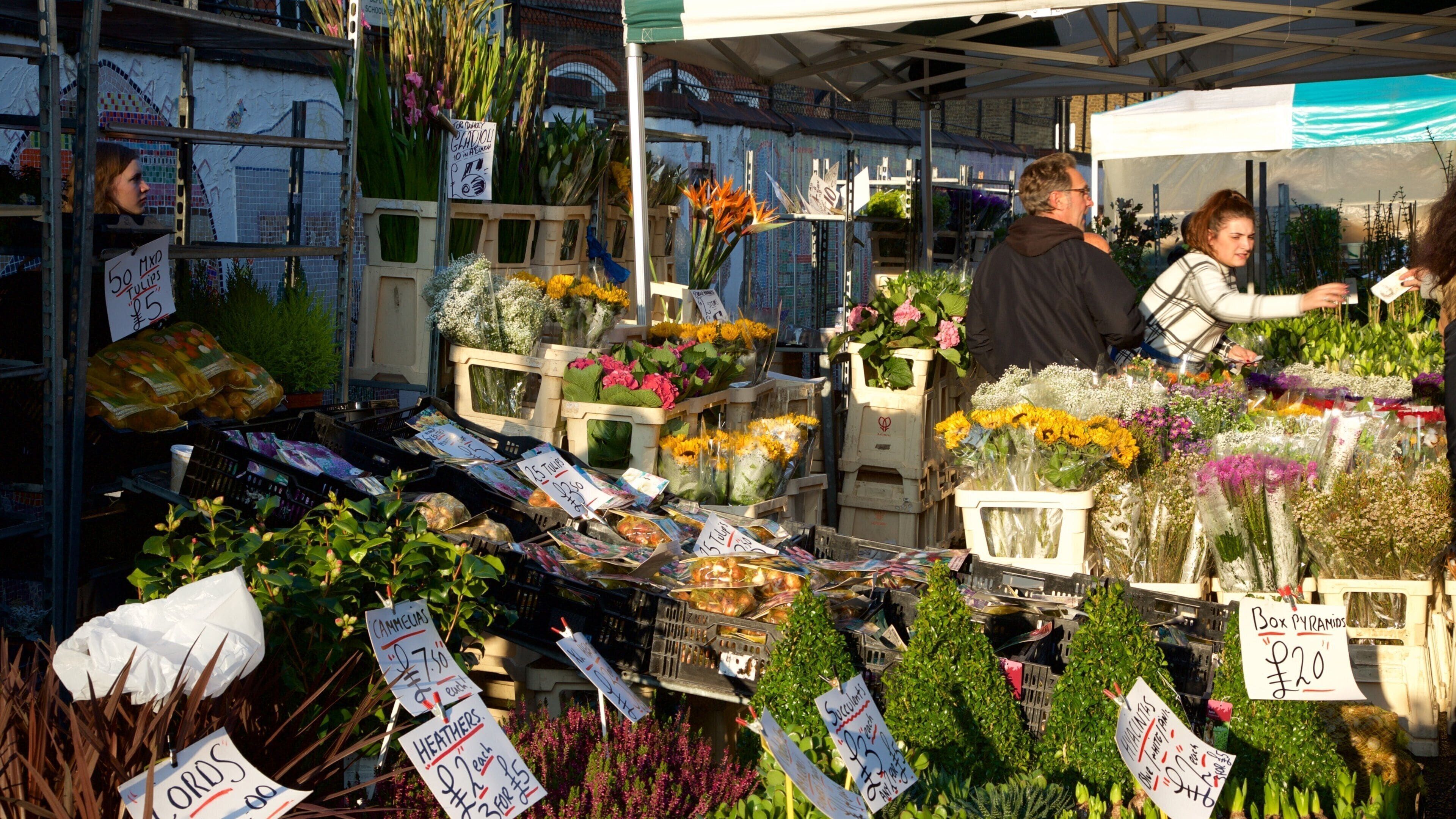 Columbia Road Flower Market pazar günleri kuruluyor.